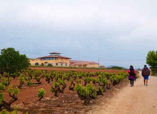 Alto de San Antón. Azienda vitivinicola