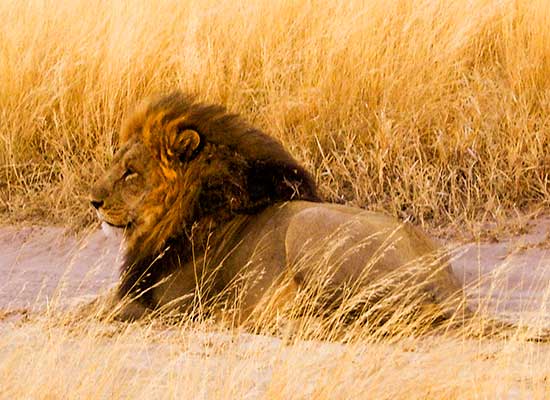 Botswana