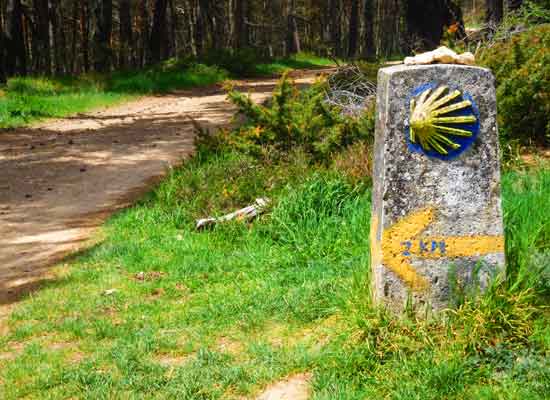 La conchiglia e la freccia gialla segnano il Cammino di Santiago