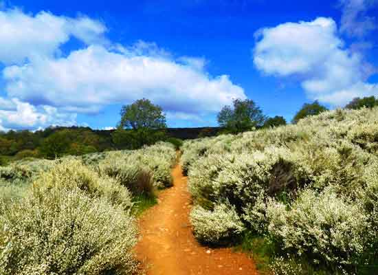 Il Cammino procedendo verso Foncebadón