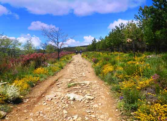 L'affascinante ambiente alle falde del monte Irago